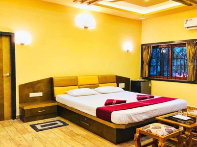 dandeli package
