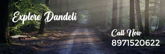 dandeli org call now